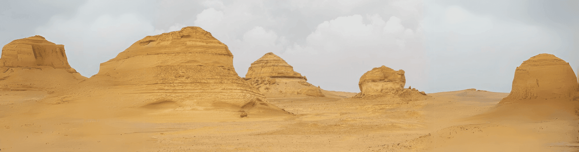 2 Days Fayoum and Wadi Al Hitan Tour from Cairo