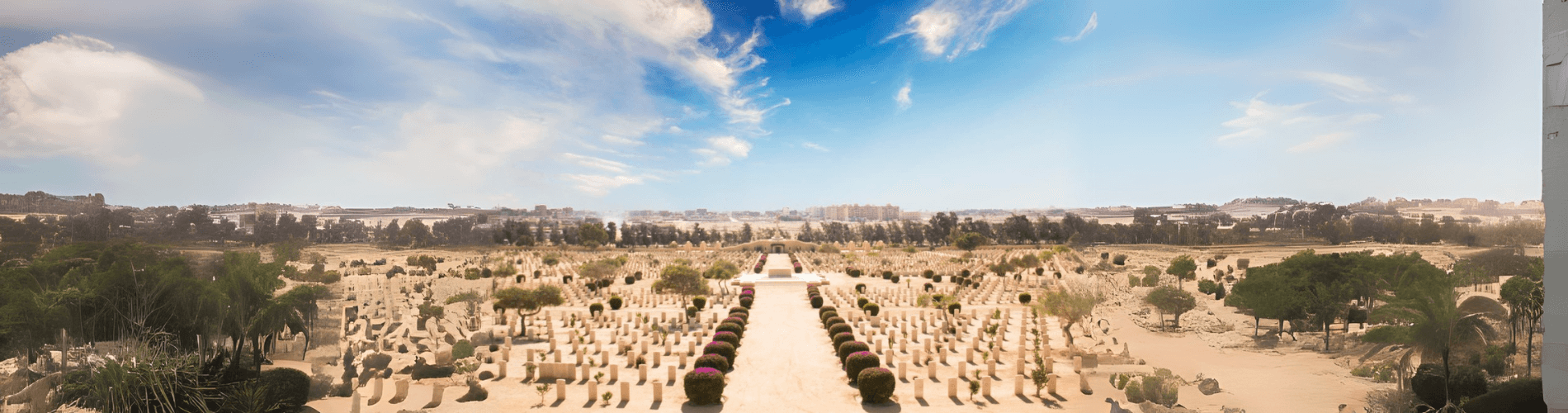 Al Alamein Day Tour from Cairo