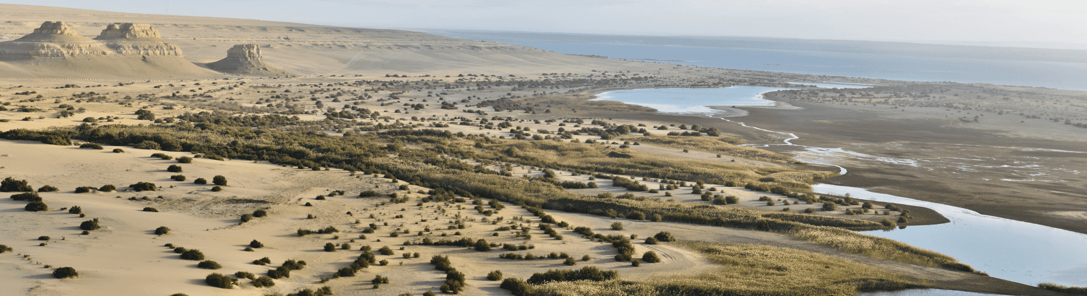 Fayoum Day Trip from Cairo