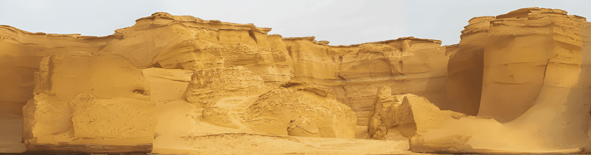 Wadi Al Hitan and Wadi El Rayan Day Tour
